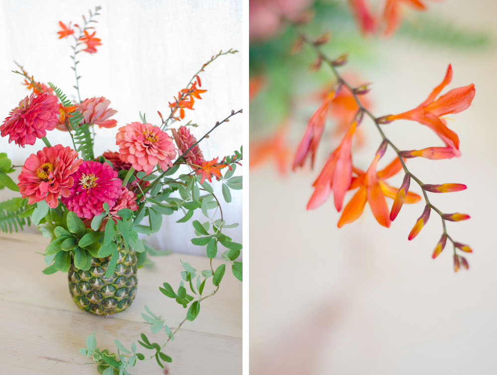 palm springs tropical flower party by verbena