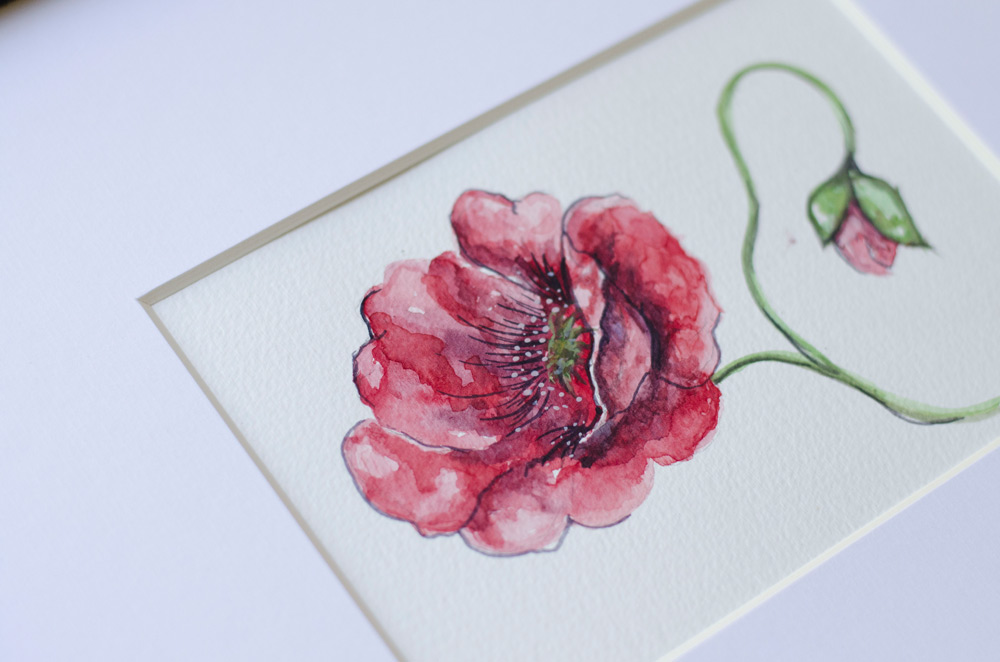 watercolor poppy floral botanical print