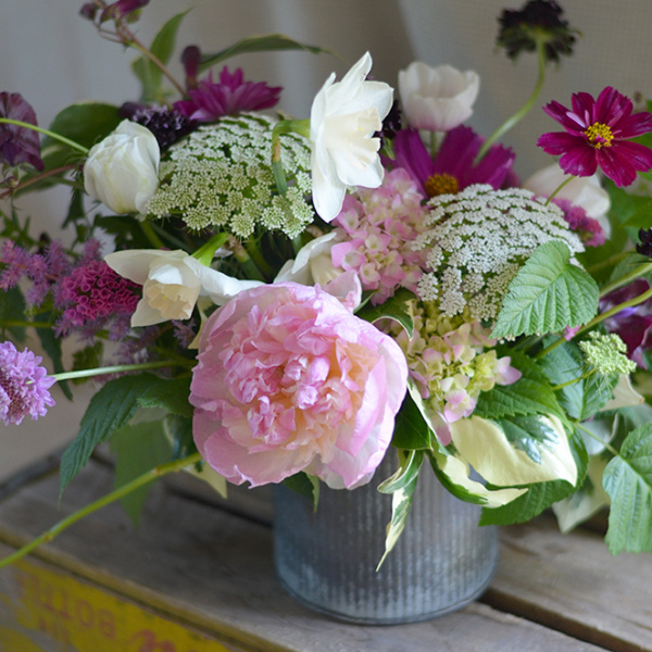 Mother's Day Arrangement Verbena Living